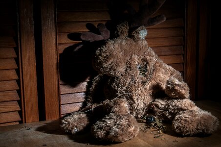 Free stock photo of beha ar, broken, friend