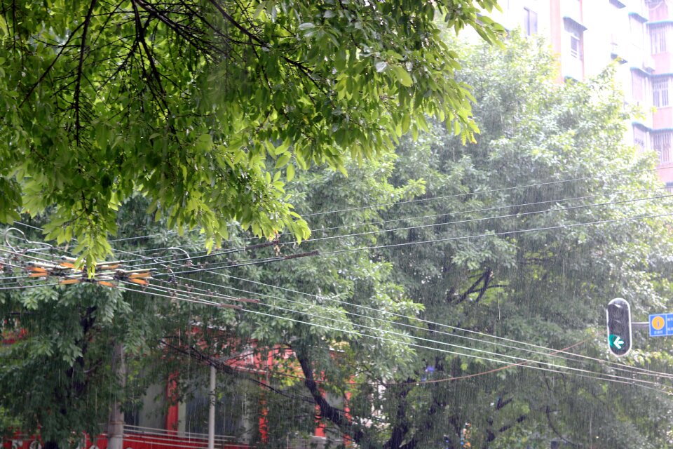 Free stock photo of rain