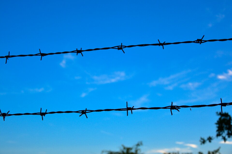 Free stock photo of fence, sky