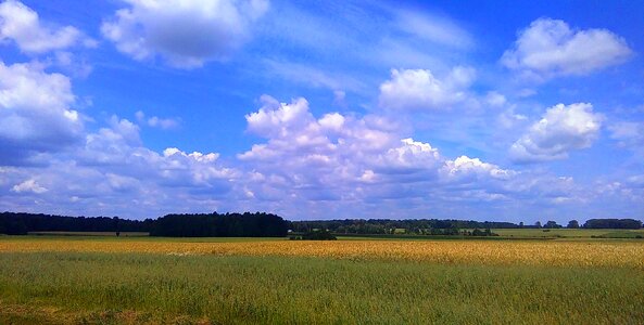 Free stock photo of clouds, field, horizon
