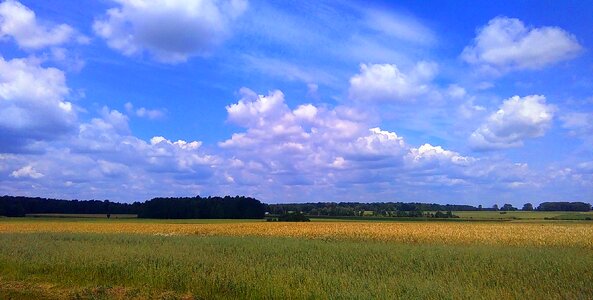 Free stock photo of clouds, field, horizon photo