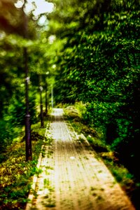 Free stock photo of footpath, freelensing, road