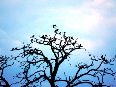 Free stock photo from Tookapic