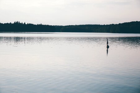Free stock photo of buoy, forest, watter photo