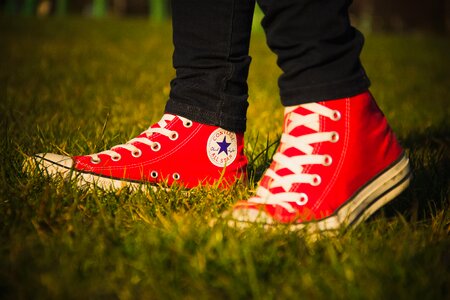 Free stock photo of converse, footwear, grass photo