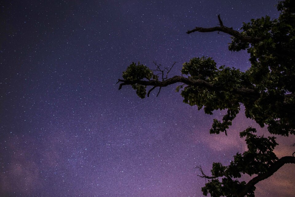 Free stock photo of night