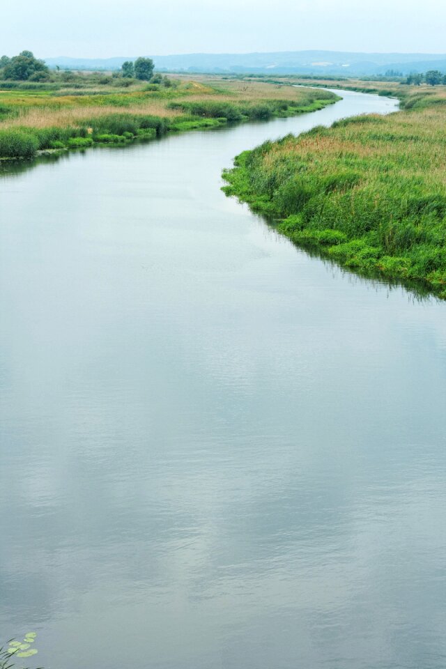 Free stock photo of water