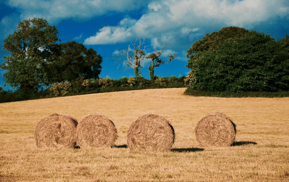 Free stock photo from Tookapic