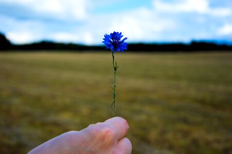 Free stock photo from Tookapic