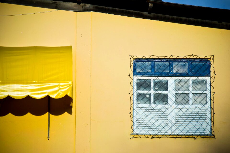 Free stock photo of nikon, yellow