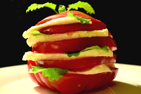 Free stock photo of caprese, sandwich, theme layers