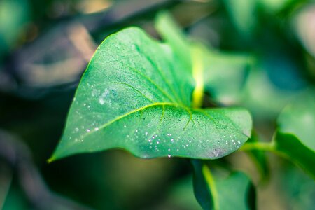 Free stock photo from Tookapic