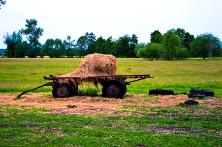 Free stock photo from Tookapic