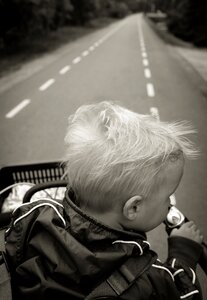 Free stock photo from Tookapic