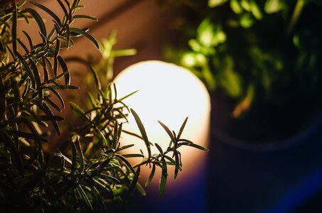 Free stock photo of candle, dark, moody