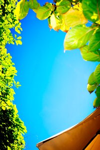 Free stock photo of france