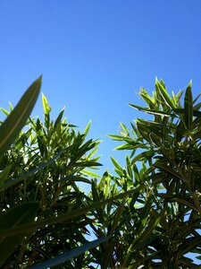 Free stock photo from Tookapic