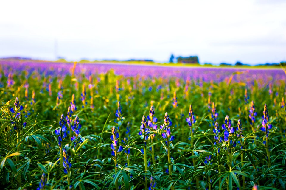 Free stock photo from Tookapic