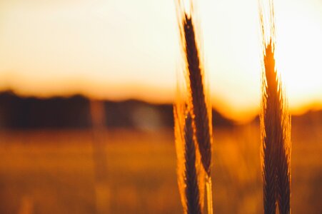 Free stock photo from Tookapic