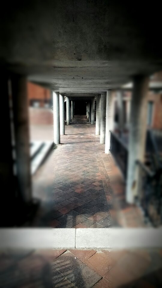 Free stock photo of brick, focus, night