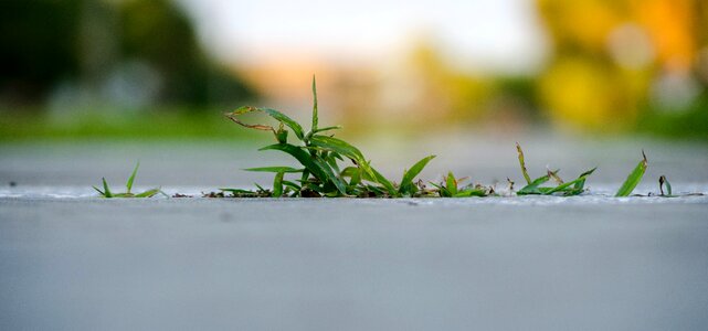 Free stock photo from Tookapic