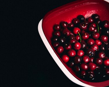 Free stock photo of berries, blueberries, bowl photo