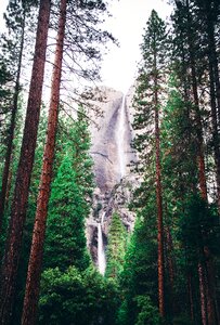 Landscape Photography of Green Trees and Water Falls photo