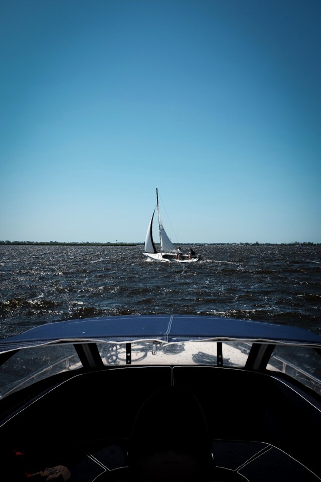 Free stock photo of windy
