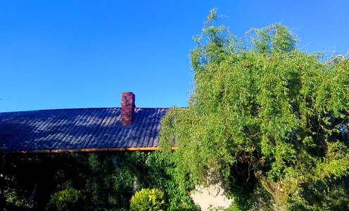 Free stock photo of roof, sky, tree