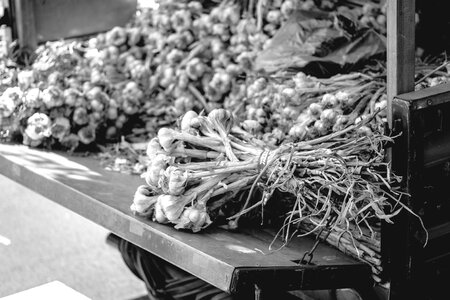 Free stock photo of garlic, rope, truck photo
