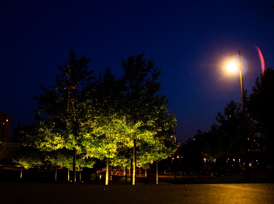 Free stock photo of lantern, light, night