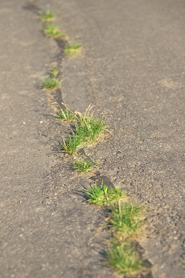 Hole pothole grass