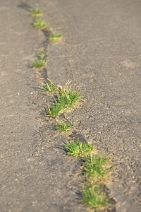 Hole pothole grass
