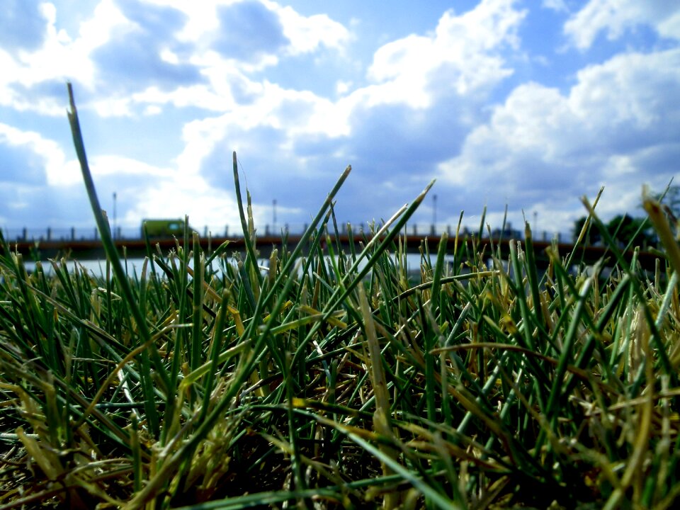 Free stock photo from Tookapic