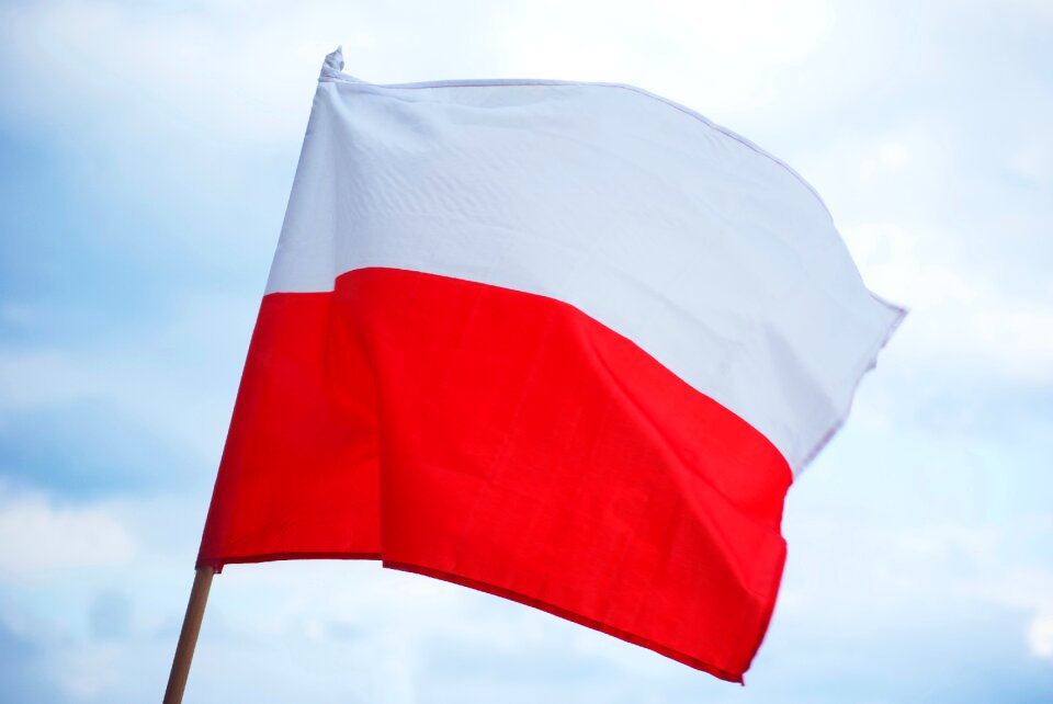 Free stock photo of poliand, polish