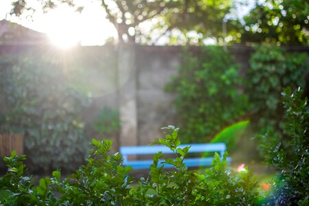 Free stock photo of 35mm, garden, nikon
