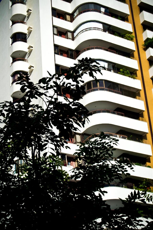 Free stock photo of buildings, cities, salvador