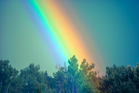 Free stock photo of rainbow, sky, trees