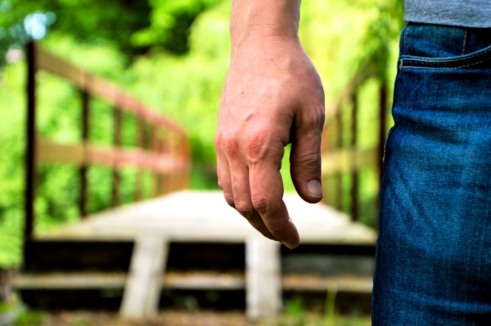 Free stock photo from Tookapic