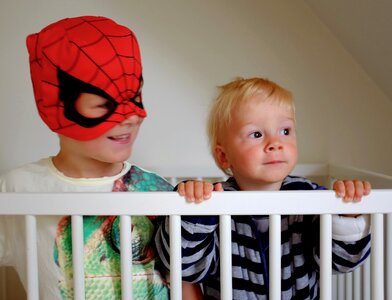 Free stock photo of night, spider man photo