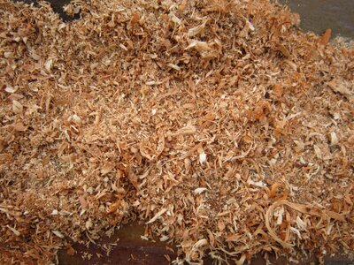 Free stock photo of sawdust, wood