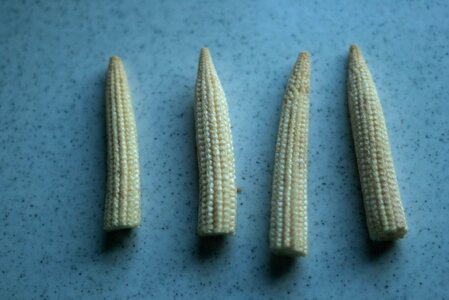 Free stock photo of baby corn, vegetables photo
