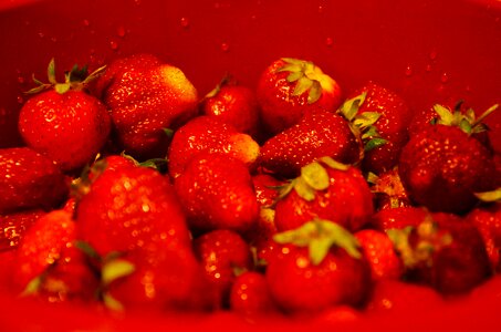 Free stock photo of fruits, healthy, strawberries photo