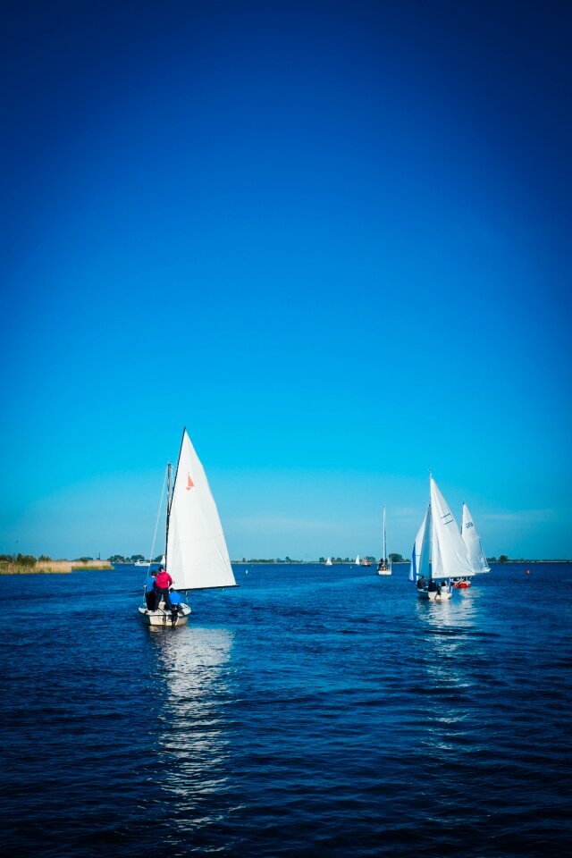 Free stock photo of sailing