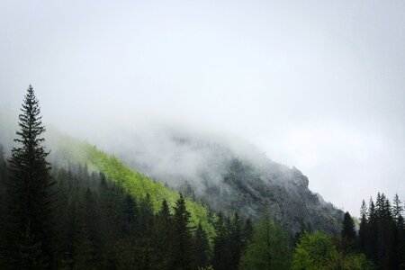 Free stock photo from Tookapic