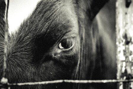 Free stock photo from Tookapic