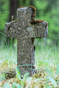 Free stock photo of cross, graveyard, theme low-angle