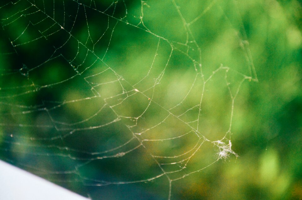 Free stock photo from Tookapic