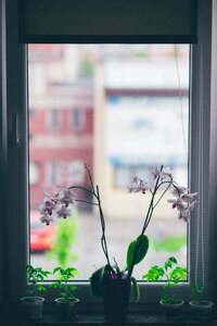Free stock photo from Tookapic
