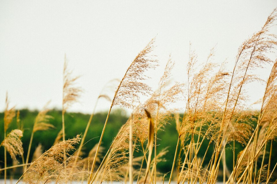 Free stock photo from Tookapic